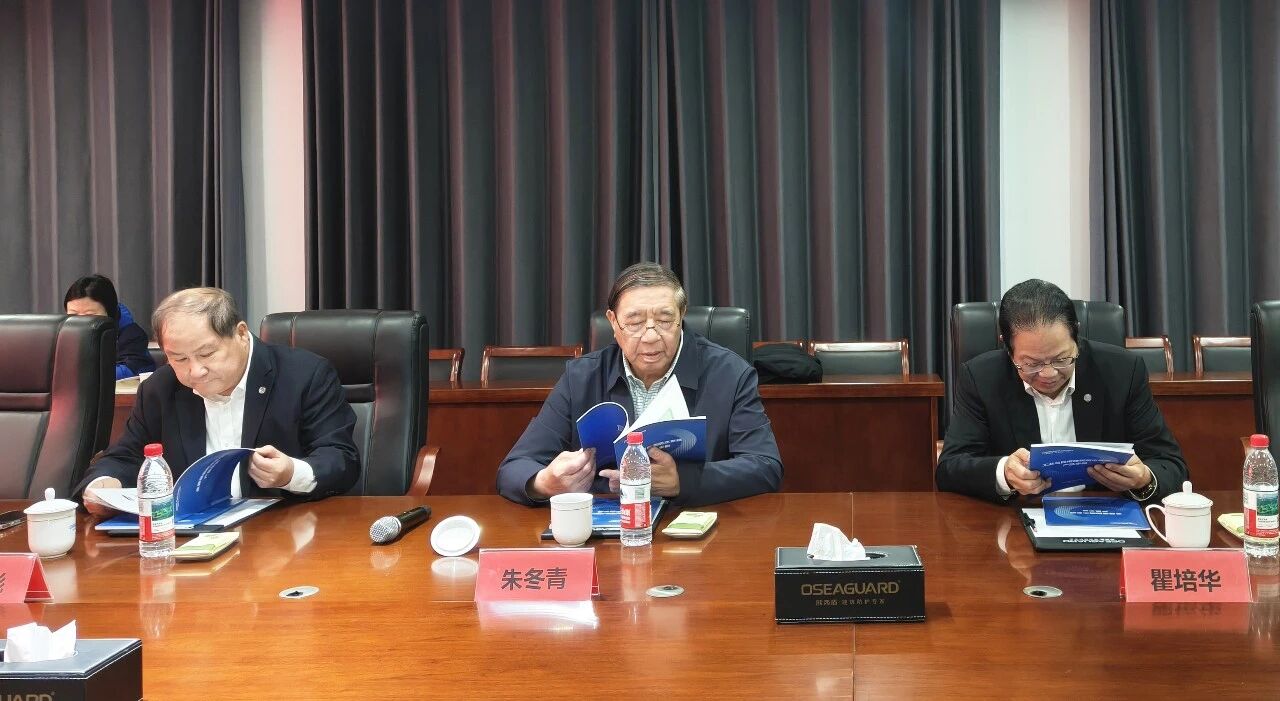 На встрече экспертная группа проводит углубленный отраслевой анализ и рекомендации по развитию.